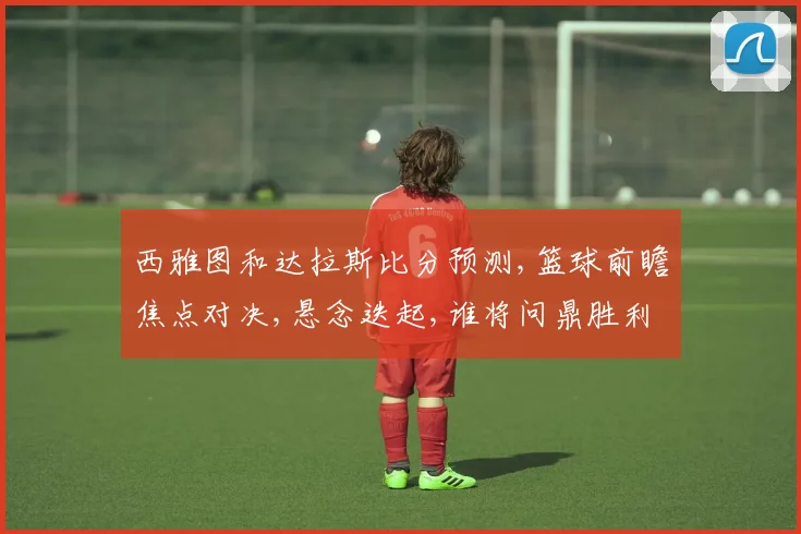 西雅图和达拉斯比分预测,篮球前瞻焦点对决,悬念迭起,谁将问鼎胜利