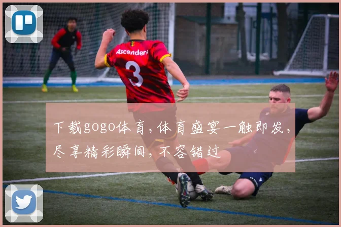 下载gogo体育,体育盛宴一触即发,尽享精彩瞬间,不容错过