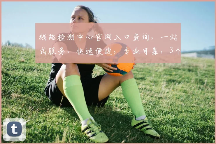 线路检测中心官网入口查询，一站式服务，快速便捷，专业可靠，3个关键点，助您无忧。