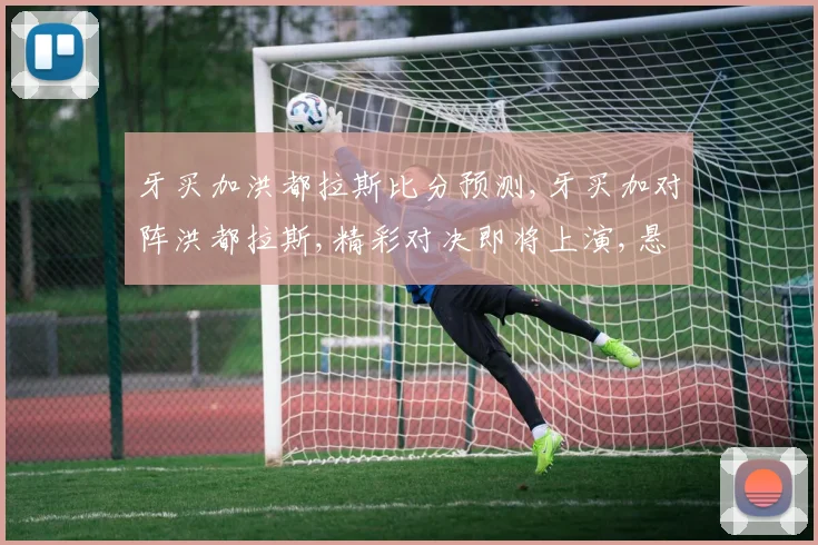 牙买加洪都拉斯比分预测,牙买加对阵洪都拉斯,精彩对决即将上演,悬念重重