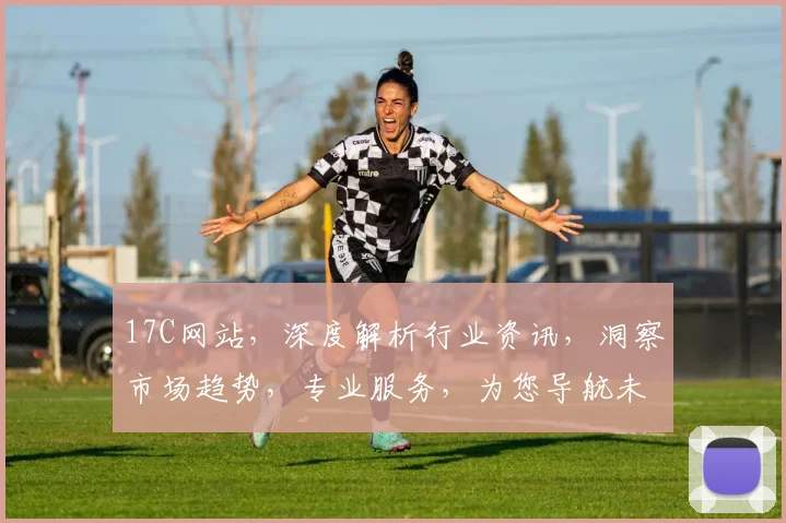 17C网站，深度解析行业资讯，洞察市场趋势，专业服务，为您导航未来商机